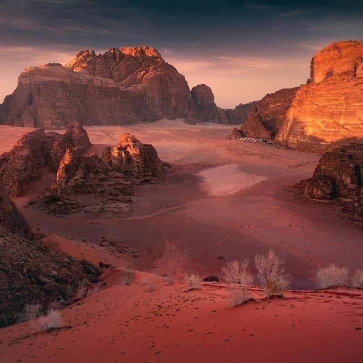 WADI RUM-Bedouin Tents Extérieur photo