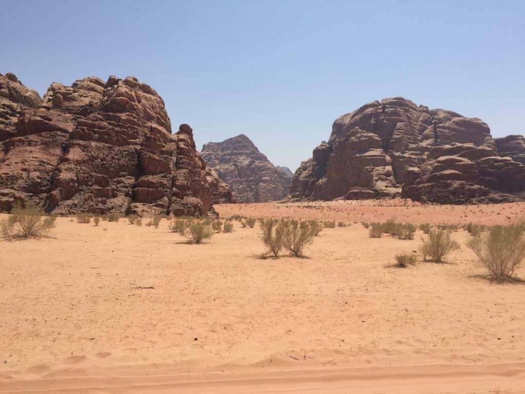 WADI RUM-Bedouin Tents Extérieur photo