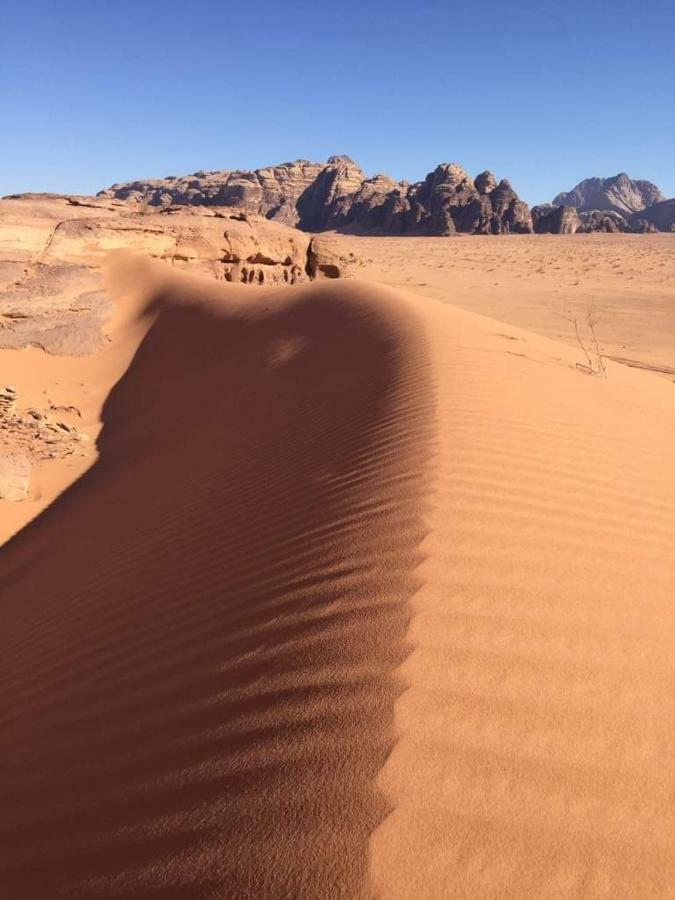 WADI RUM-Bedouin Tents Extérieur photo