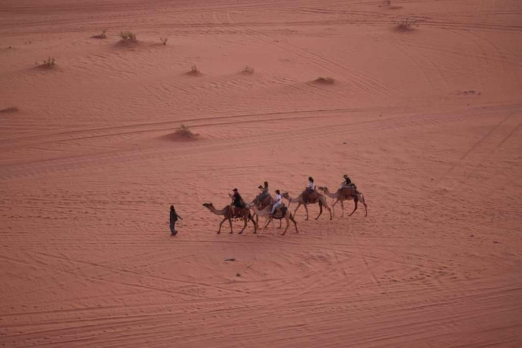 WADI RUM-Bedouin Tents Extérieur photo