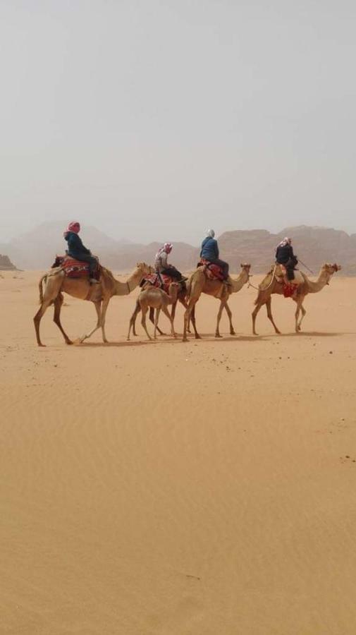 WADI RUM-Bedouin Tents Extérieur photo